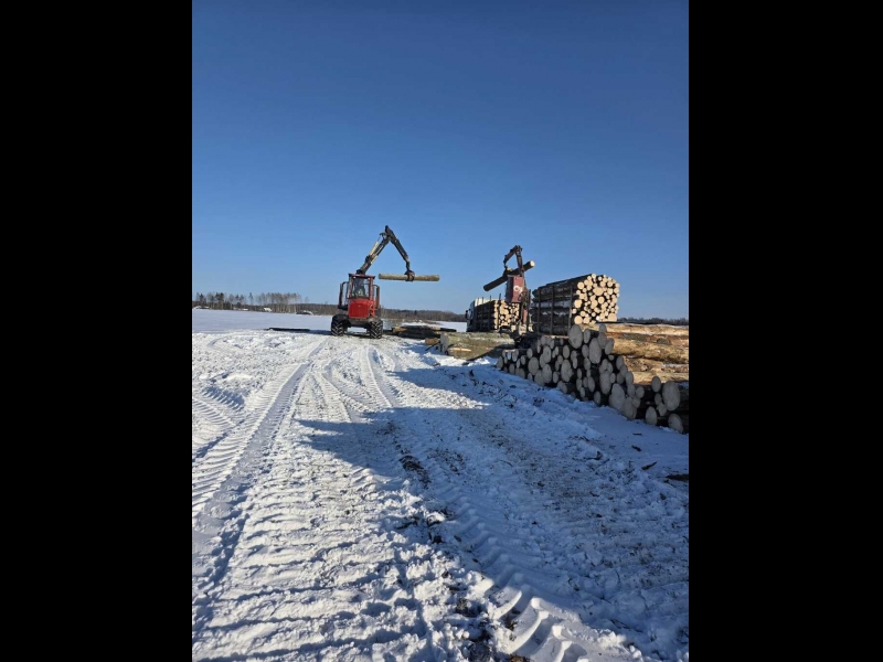 Kokmateriālu pievešana un kraušana ar tehniku pēc izstrādes