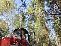 Mežizstrādes tehnika darbā - kokmateriālu savākšana un izvešana no cirsmas