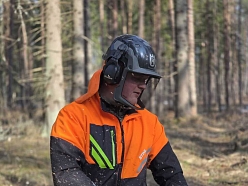 Profesionāla cirsmu izstrāde ar motorzāģi Rēzeknes novadā