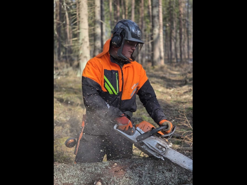 Profesionāla cirsmu izstrāde ar motorzāģi Rēzeknes novadā