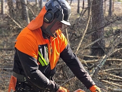 Droša un precīza koku zāģēšana profesionālu darbinieku izpildē