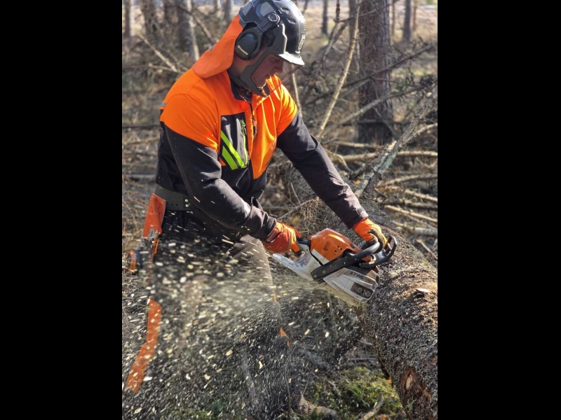 Droša un precīza koku zāģēšana profesionālu darbinieku izpildē