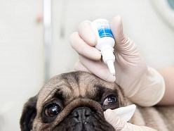 Oftalmoloģiska izmeklēšana un ārstēšana