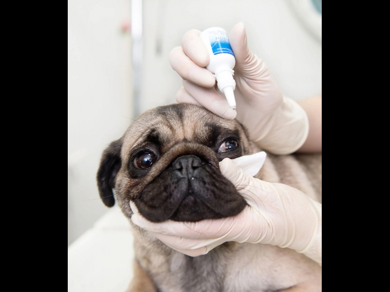 Oftalmoloģiska izmeklēšana un ārstēšana