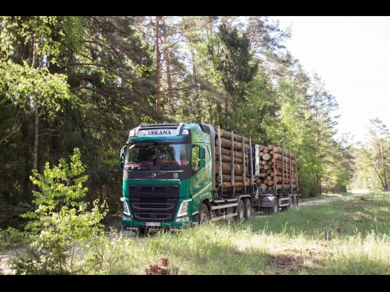 kokmateriālu iepirkšana un transportēšana