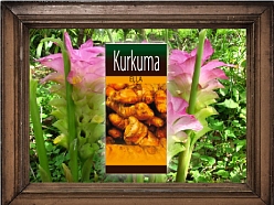 Kurkuma eļļa