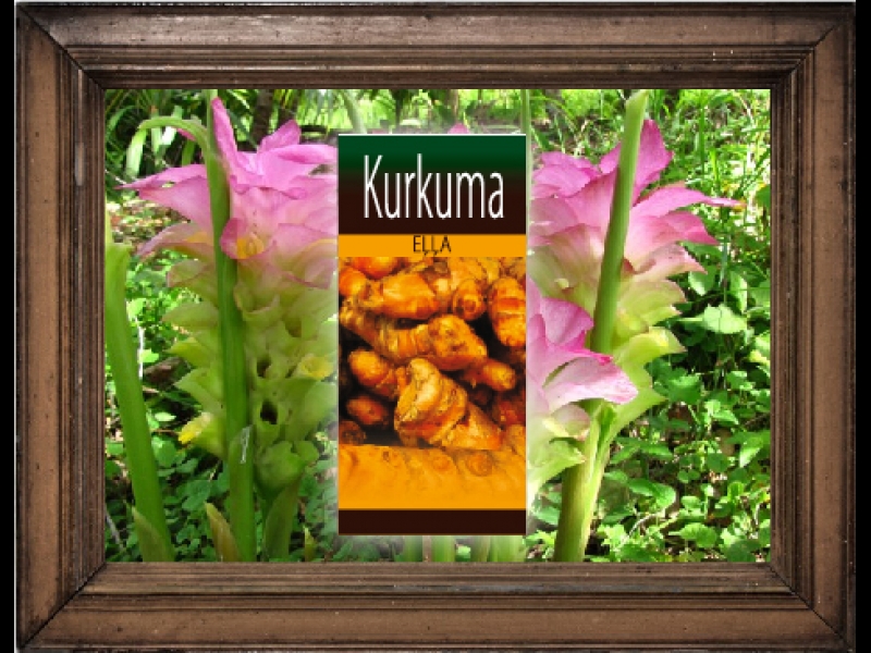 Kurkuma eļļa