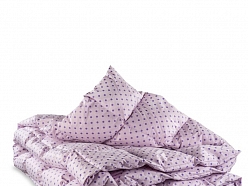 palvu, dūnu spilvenu un segu tīrīšana