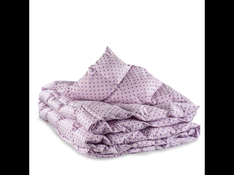 palvu, dūnu spilvenu un segu tīrīšana