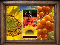 Smiltsērkšķu eļļa