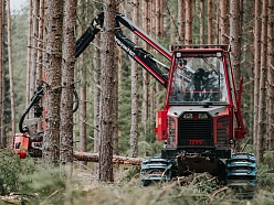 Forvardera pakalpojumi