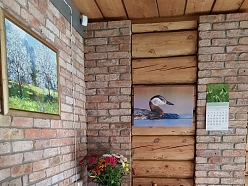 Telpas svinībām