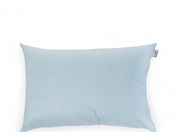 palvu, dūnu spilvenu un segu tīrīšana