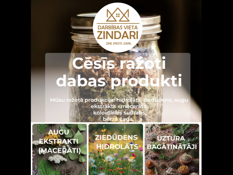 Zindari