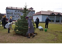 Foto: limbazi.lv
