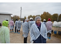 Publicitātes foto