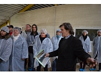 Publicitātes foto