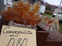 Anna Kārkliņa/ Valmiera24.lv