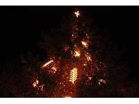 Anna Kārkliņa/ Valmiera24.lv