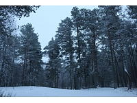 Fotogrāfe Madara Luste