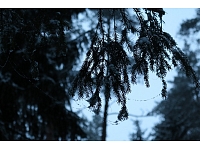 Fotogrāfe Madara Luste