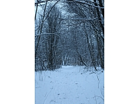 Fotogrāfe Madara Luste