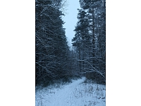Fotogrāfe Madara Luste