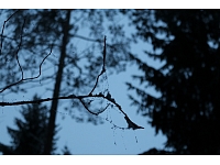 Fotogrāfe Madara Luste