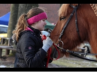 Saseksas Universitātes zinātnieki atklājuši, ka zirgi spēj atpazīt cilvēku emocijas.