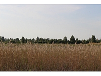 Valka24.lv
