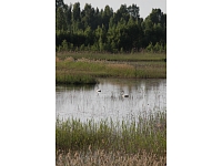 Valka24.lv