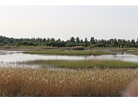 Valka24.lv