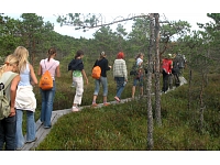 Publicitātes foto