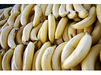 Beļģijas muitas dienests banānu kravā atradis 1,7 tonnas kokaīna.