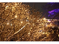 Anita Gušča/ Valmiera24.lv