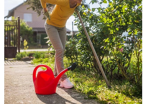 Kā strādāt dārzā bez traumām: svarīgākie ieteikumi sezonai