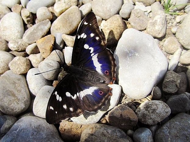 Ilustratīvs foto/ Foto: Pixabay.com