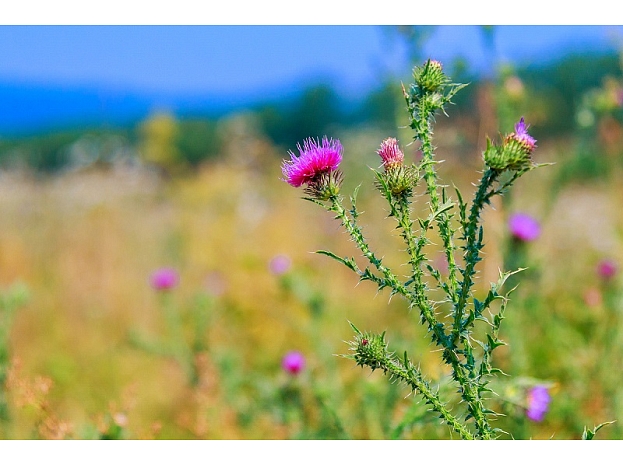 Foto: Bigstockphoto.com Foto: Bigstockphoto.com
