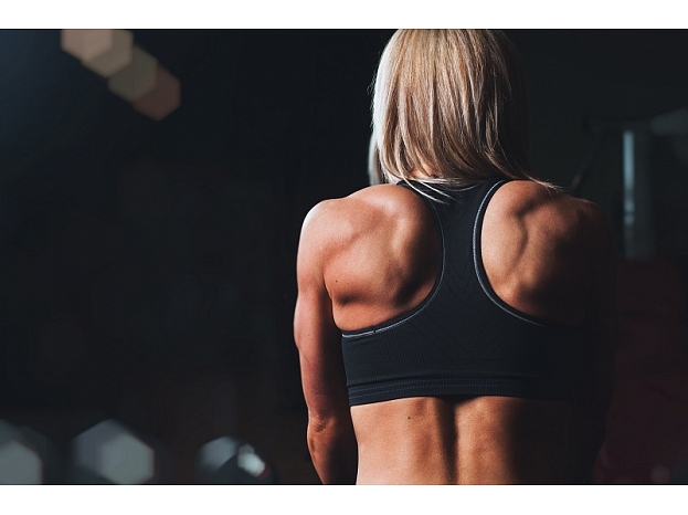 Foto: Pexels.com / Scott Webb