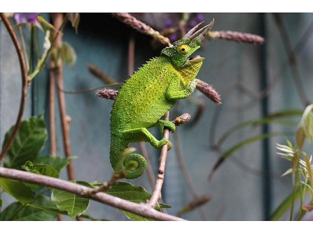 Foto: Freerangestock.com / Unsplash Foto: Freerangestock.com / Unsplash