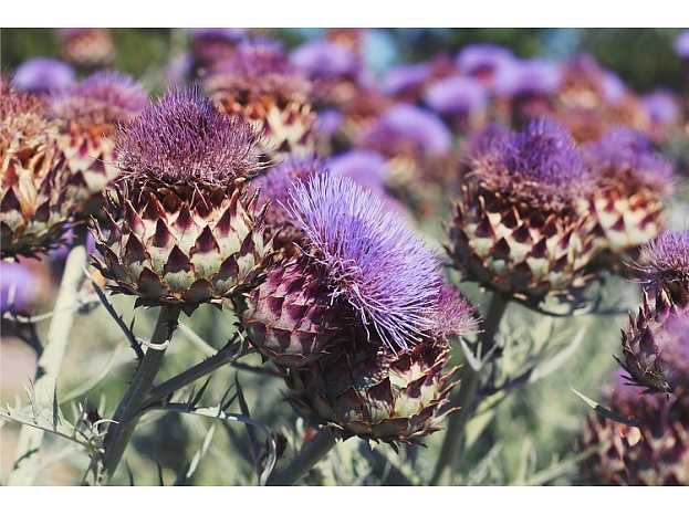Foto: Shutterstock.com Foto: Shutterstock.com