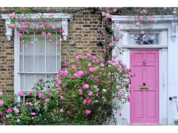 Foto: Shutterstock.com