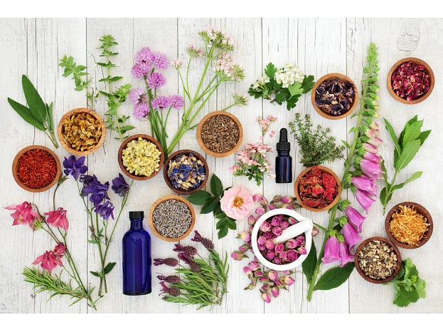 Foto: Shutterstock.com