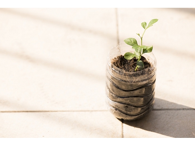 Foto: Shutterstock.com