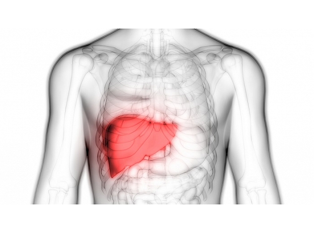 Foto: Shutterstock.com