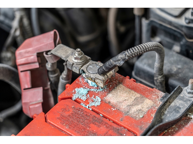 Foto: Shutterstock.com