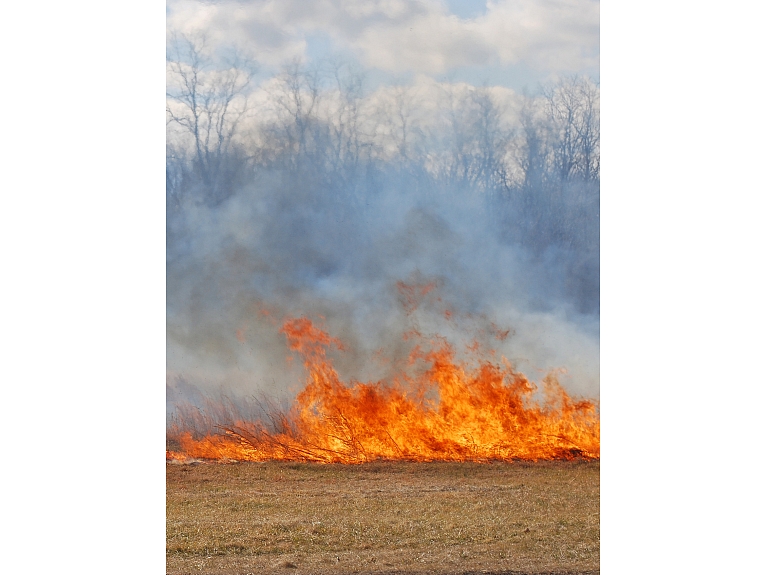2015.gadā Latvijā tika reģistrēti 2786 kūlas ugunsgrēki. Pagājušā gadā ap šo laiku to skaits sasniedza 4044 ugunsgrēkus.