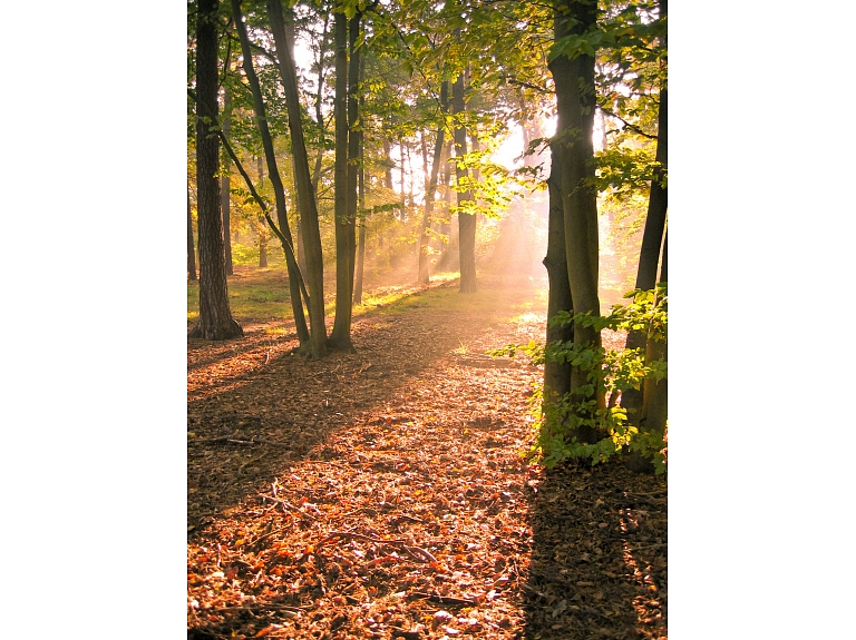 Pagājušā nedēļā pasaulē laboti simtiem Novembra siltuma rekordu.