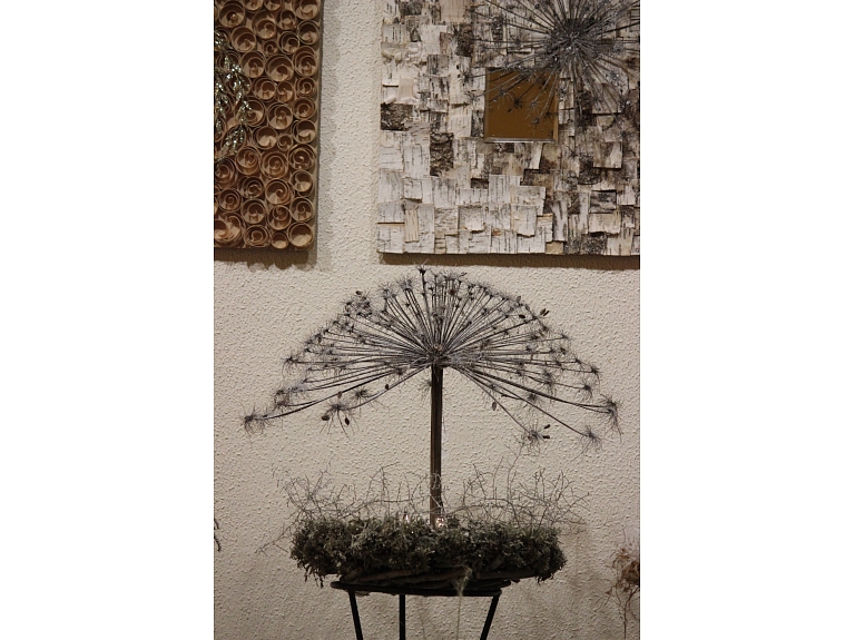 Anita Stabiņa/ Valmiera24.lv