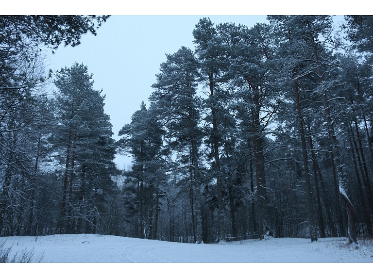 Fotogrāfe Madara Luste